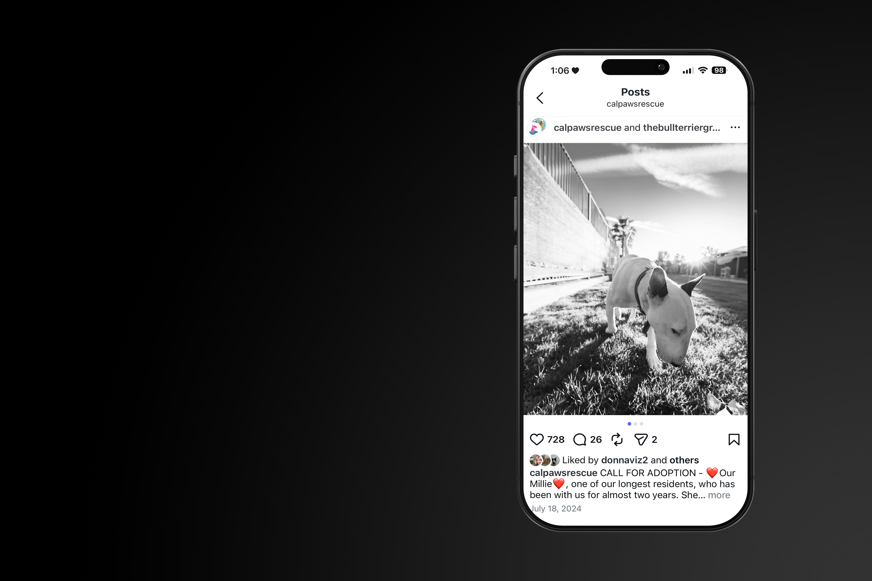 Social media strategy and campaign creative by Dark Matter Studio